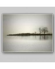 El reflejo de los árboles