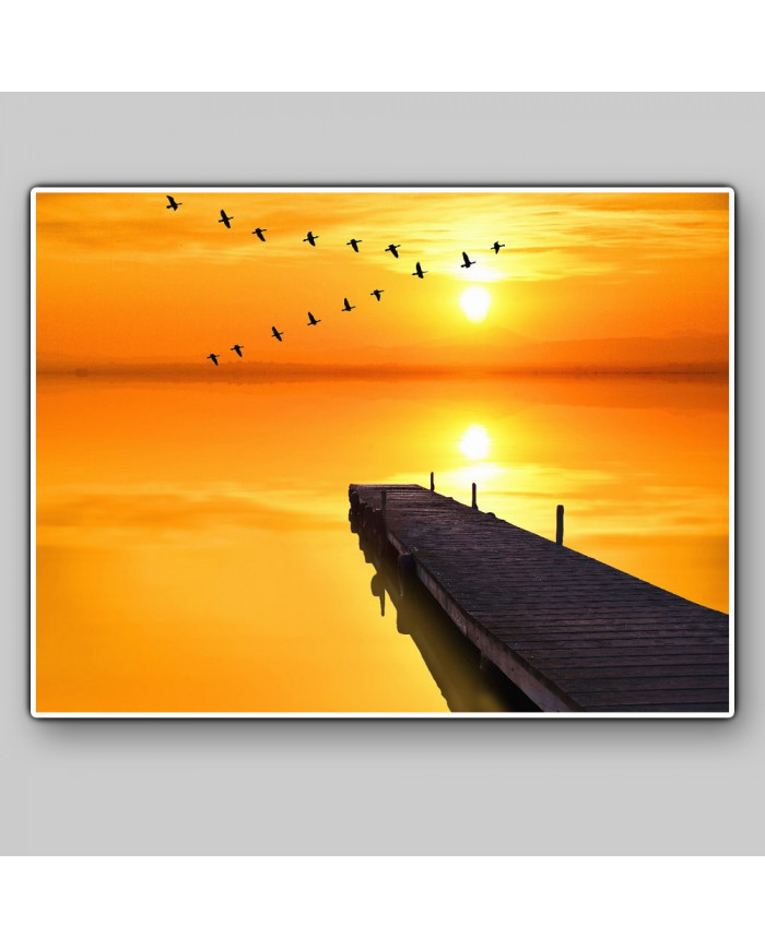 Pájaros sobre el pier