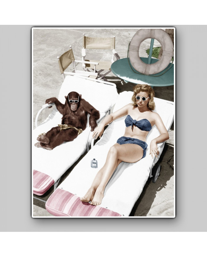 Tomando el sol con mi amigo