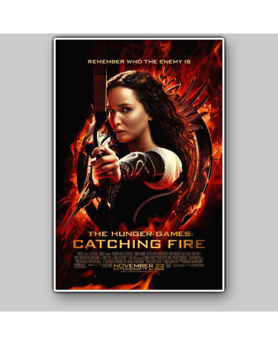 The hunger games: catching fire The hunger games: catching fire