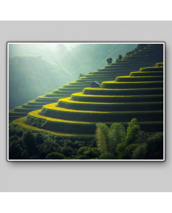 Balcones de arroz, Bali