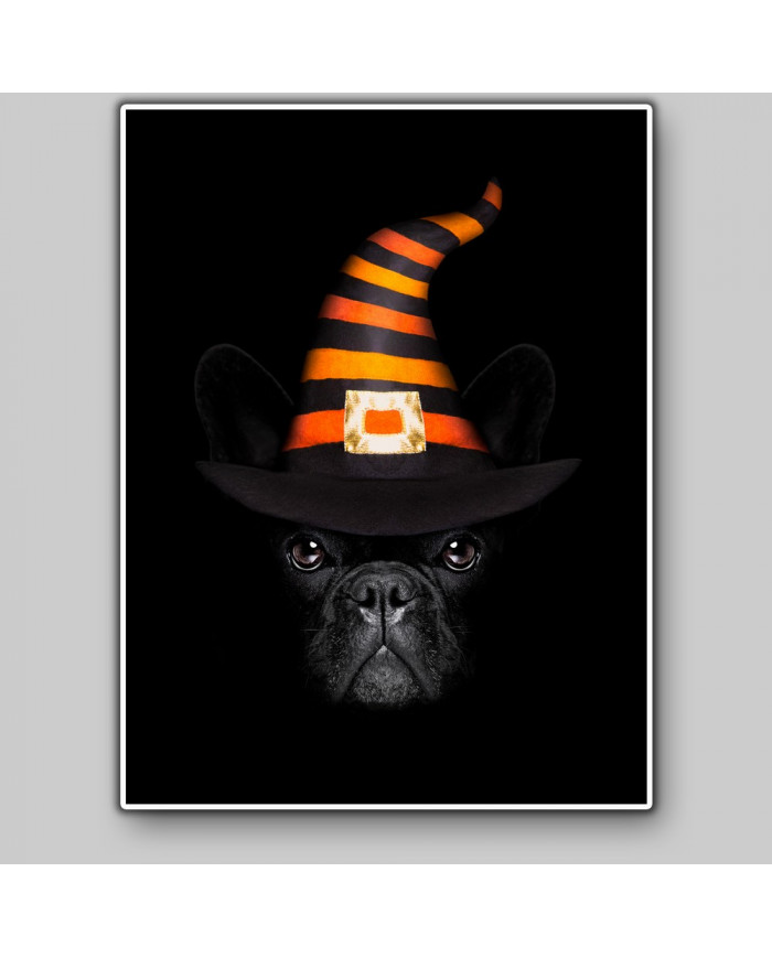 Buldog francés en Halloween