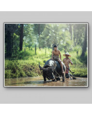 Campesino sobre búfalo, Tailandia