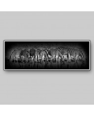 Cebras en el Parque Nacional de Etosha, Namibia