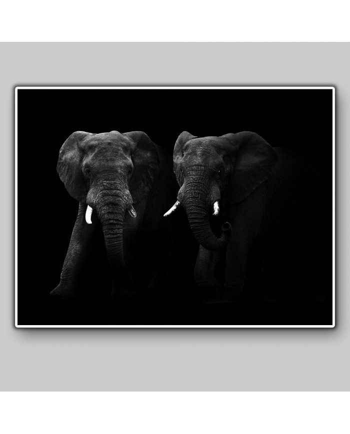 Elefantes, Parque Nacional Masai Mara, Kenia