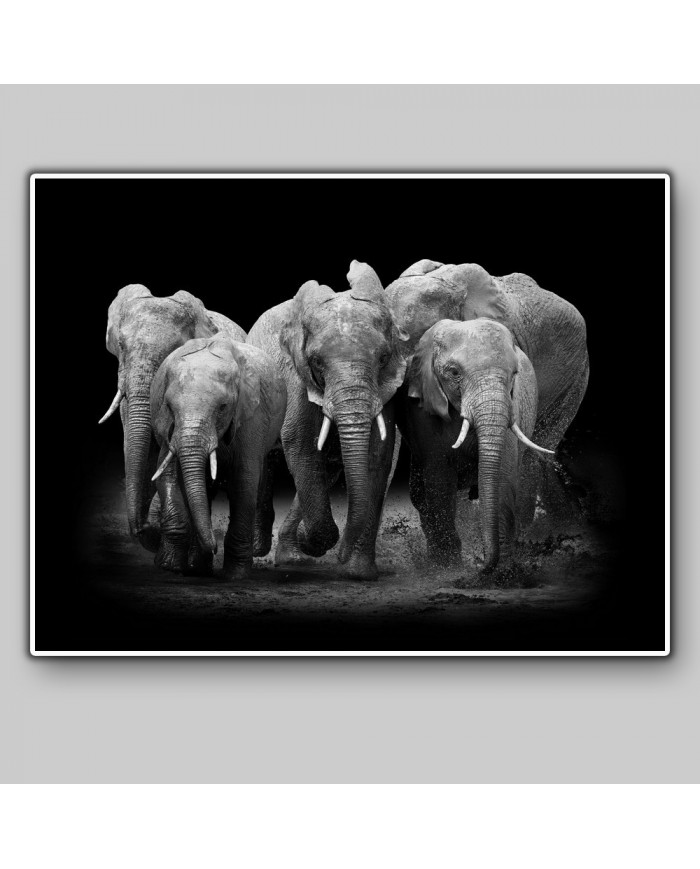 Familia de elefantes, Parque Nacional Serengueti, Tanzania