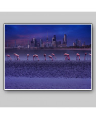 Flamencos frente al Skyline de Kuwait