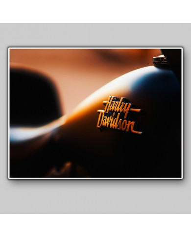 Harley Davison Harley Davison
