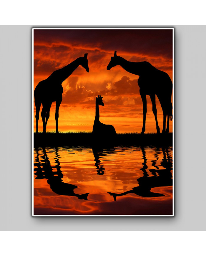 Jirafas al amanecer, Parque Nacional Masai Mara, Tanzania