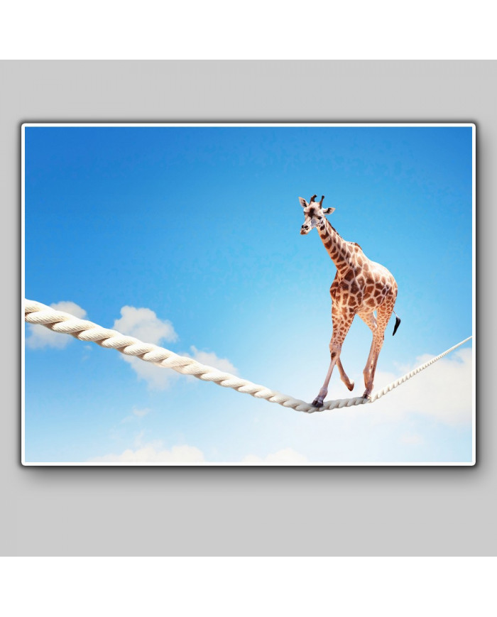 La jirafa equilibrista