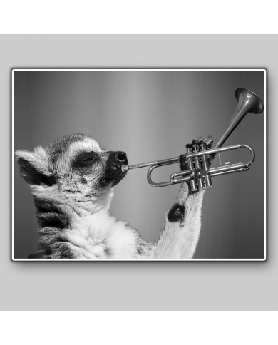 Lemur tocando la trompeta Lemur tocando la trompeta