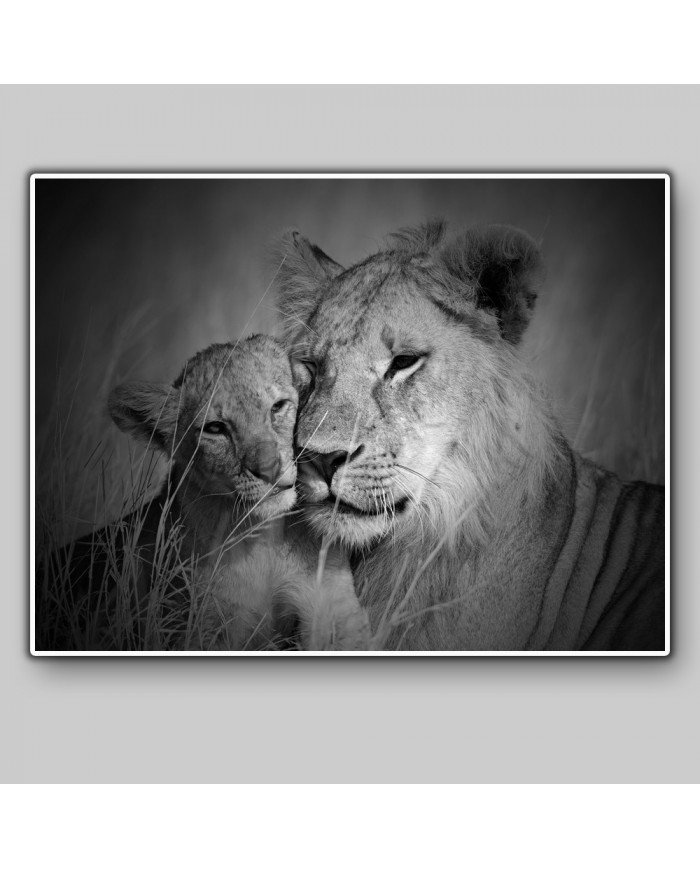 Leona con su cachorro, Parque Nacional Serengueti, Tanzania