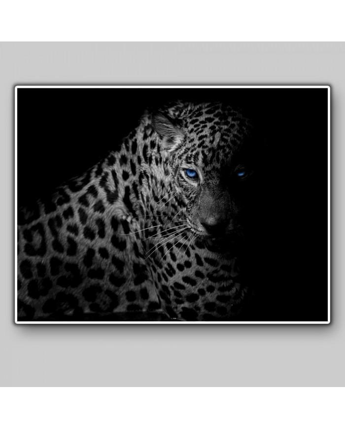 Leopardo, Parque Nacional Serengueti, Tanzania