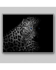 Leopardo, Parque Nacional Serengueti, Tanzania