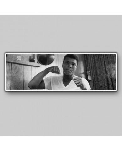 Muhammad Ali Muhammad Ali
