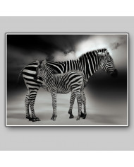 Retrato de dos cebras