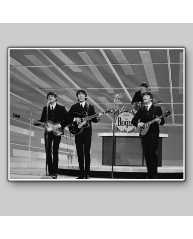 The Beatles The Beatles