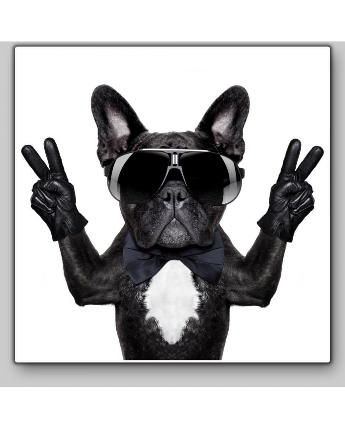 Victoria del buldog francés