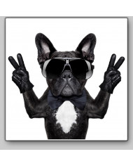 Victoria del buldog francés