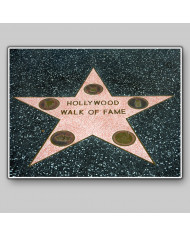 Walk of fame, Hollywood