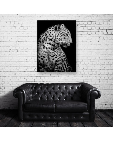 Retrato de un leopardo, Parque Nacional Serengueti, Tanzania Retrato de un leopardo, Parque Nacional Serengueti, Tanzania