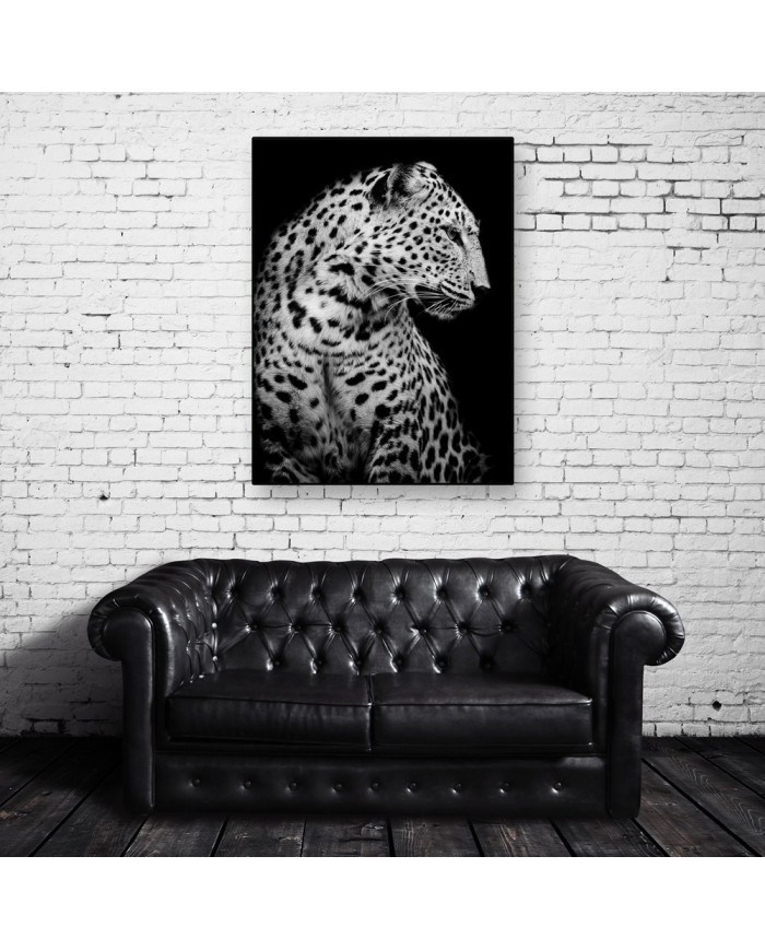 Retrato de un leopardo, Parque Nacional Serengueti, Tanzania