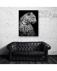 Retrato de un leopardo, Parque Nacional Serengueti, Tanzania