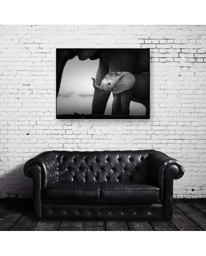 Bebé elefante con su madre, Parque Nacional Serengueti, Tanzania