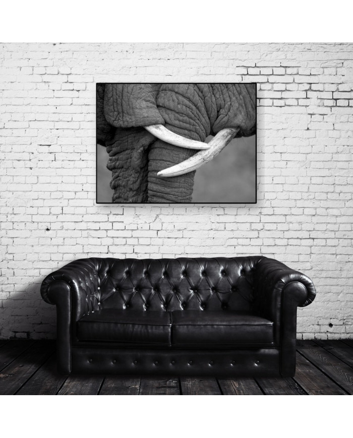 El beso de los elefantes, Parque Nacional Moremi, Botswana