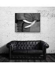 El beso de los elefantes, Parque Nacional Moremi, Botswana