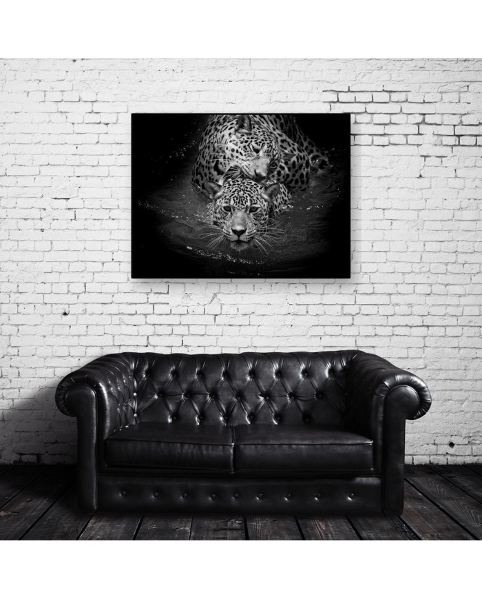 Leopardos nadando, Parque Nacional Serengueti, Tanzania