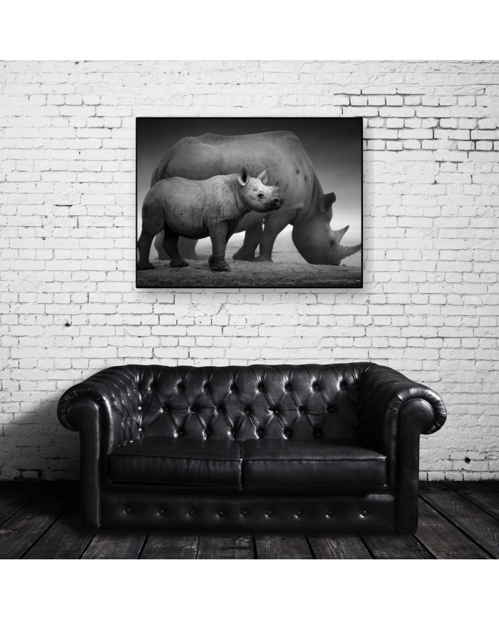 Rinocerontes, Parque Nacional Etosha, Namibia