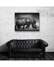 Rinocerontes, Parque Nacional Etosha, Namibia