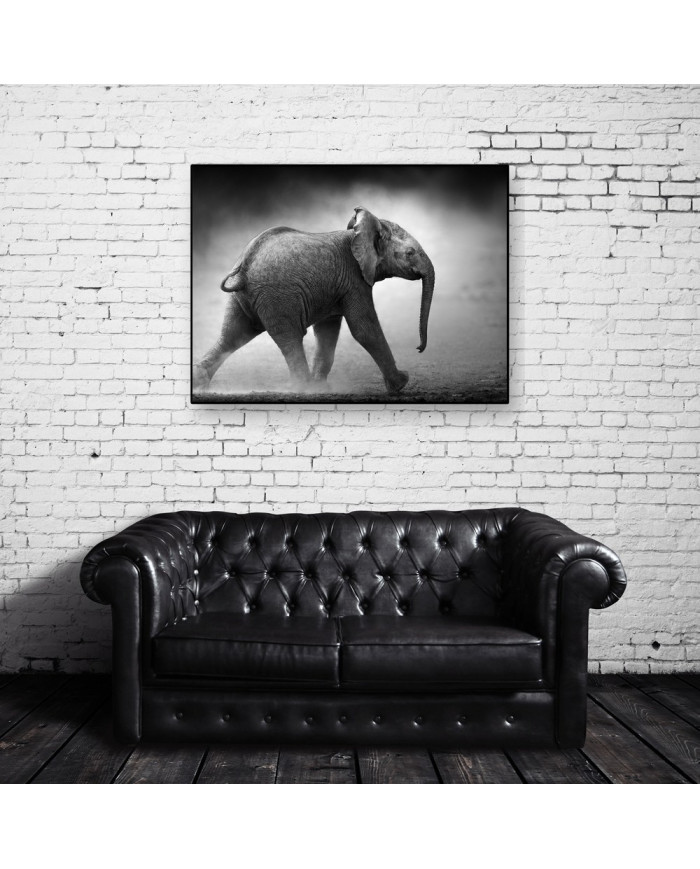 Bebé elefante , Parque Nacional Moremi, Botswana