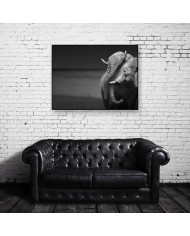 El beso de los elefantes, Parque Nacional Moremi, Botswana