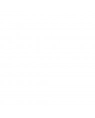 Rinoceronte hembra con su bebé, Parque Nacional Ngorongoro, Tanzania