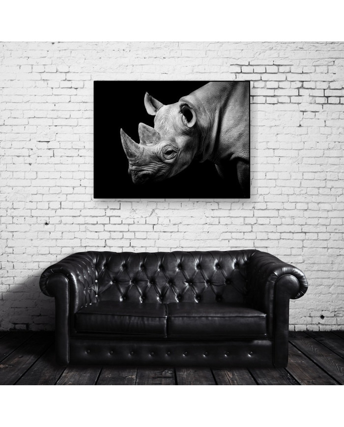 Retrato de un rinoceronte