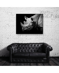 Retrato de un rinoceronte