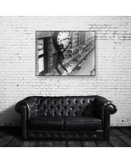 Harold Lloyd, El hombre mosca