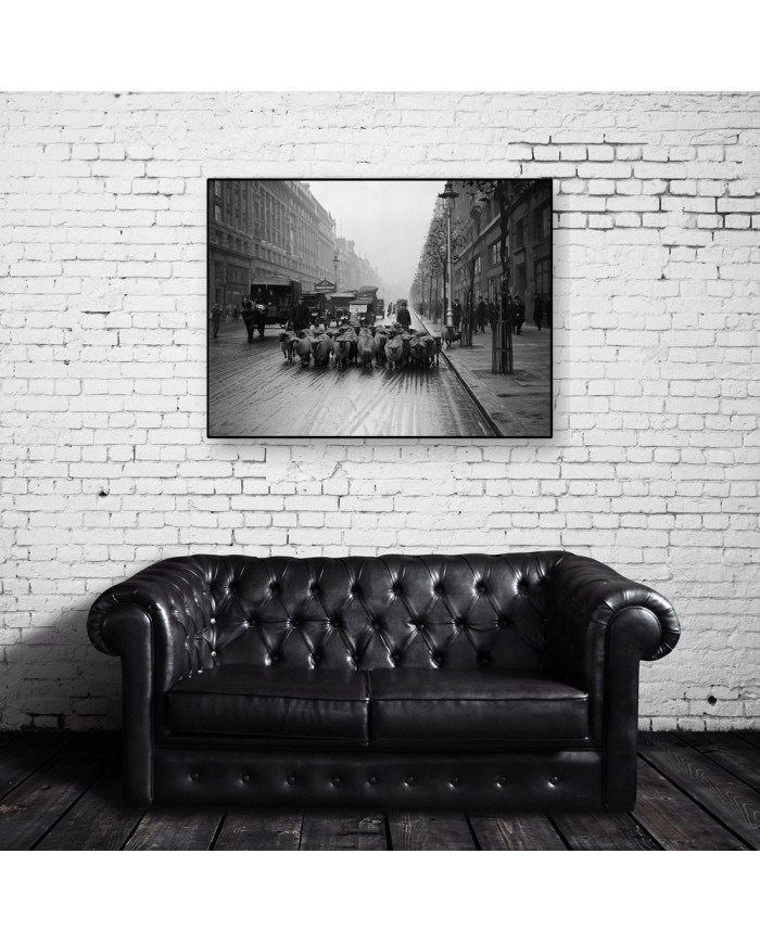 Rebaño de ovejas en Kingsway, Londres, 1926