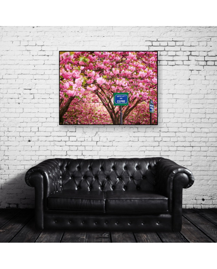 Calle de París en primavera