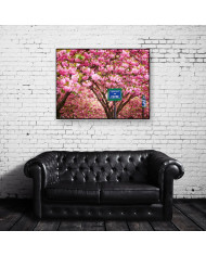 Calle de París en primavera