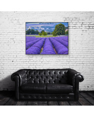 Prados de lavanda, Provenza, Francia