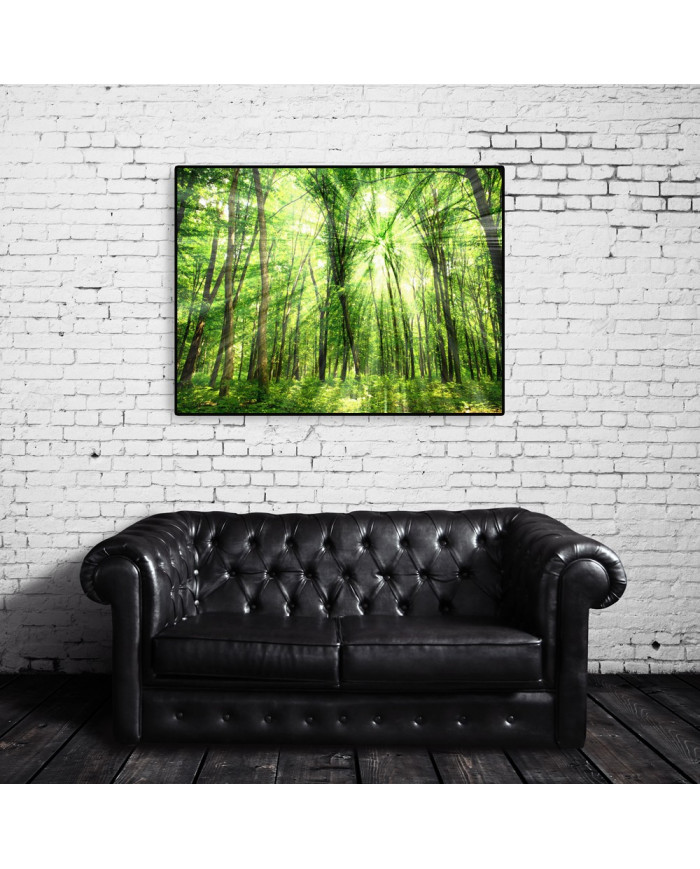 Luz entre árboles, Filipinas