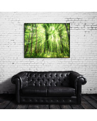 Luz entre árboles, Filipinas