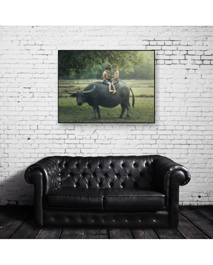 Niños leyendo sobre un búfalo, India