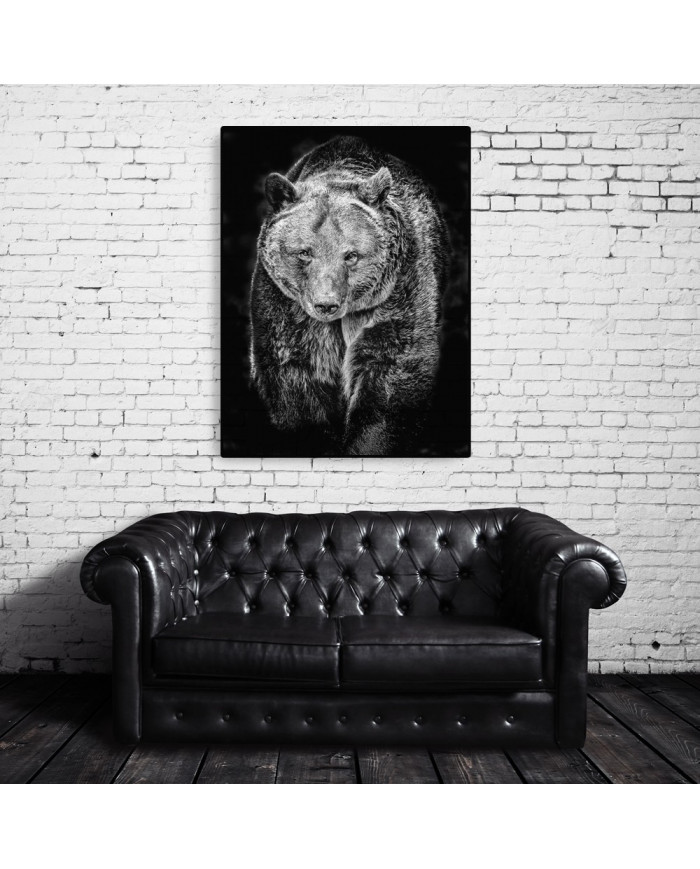 Oso pardo, Alaska, USA