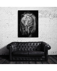 Oso pardo, Alaska, USA