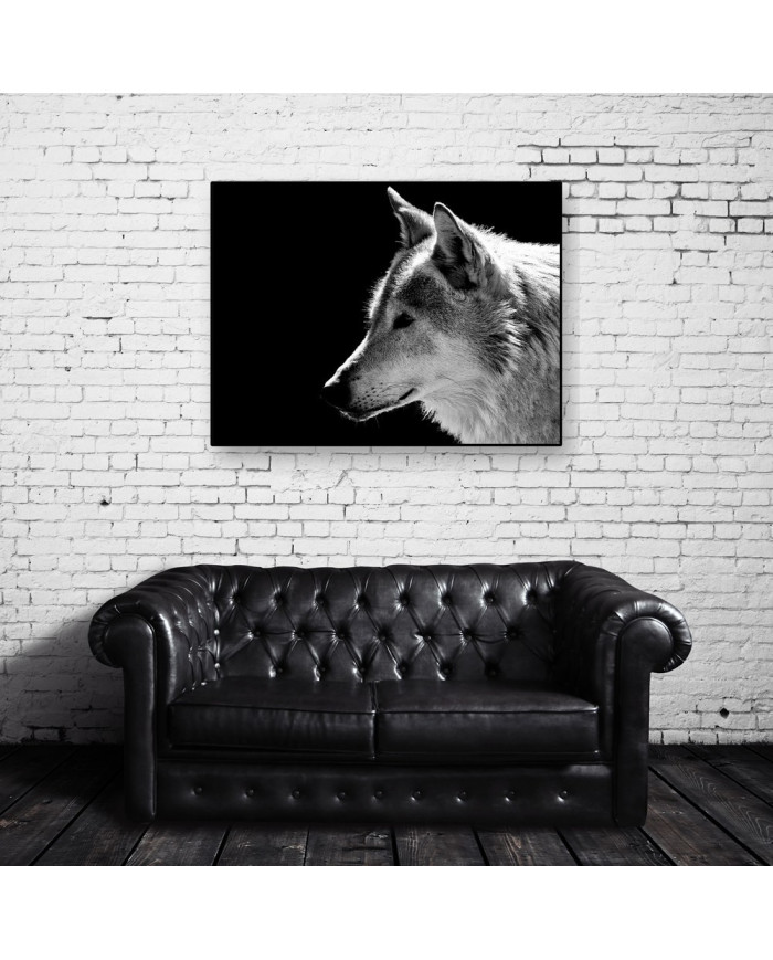 Retrato de un lobo, Parque Nacional Mercantour, Francia