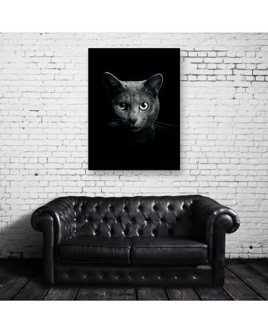 Retrato de un gato Retrato de un gato